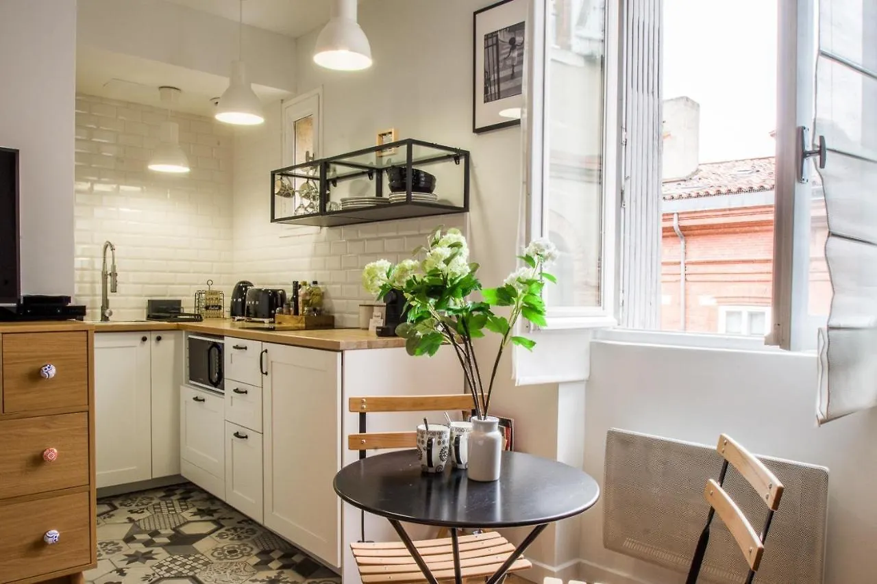Le Petit Capitole - Studio Renove A 2 Pas Du Capitole Apartment Toulouse