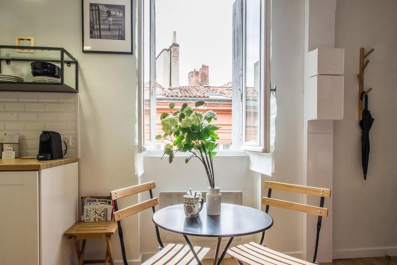 Le Petit Capitole - Studio Renove A 2 Pas Du Capitole Apartment Toulouse