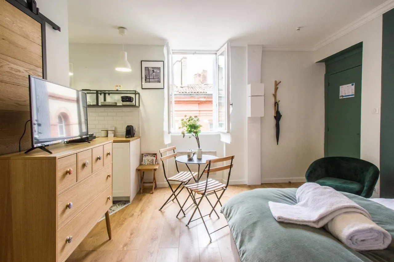 Le Petit Capitole - Studio Renove A 2 Pas Du Capitole Apartment Toulouse